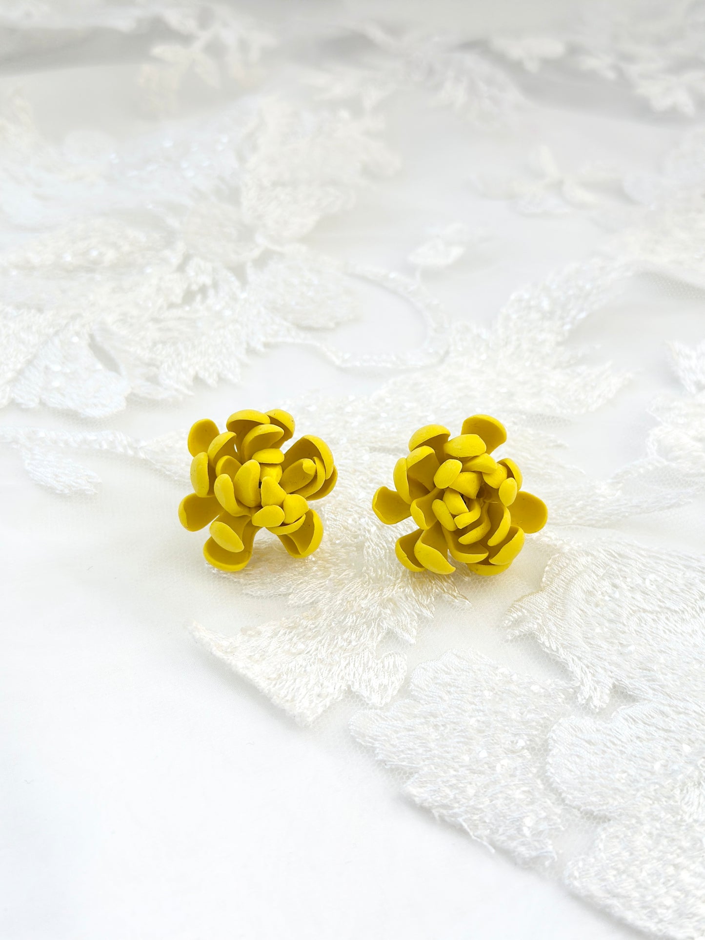 Chrysanthemum Studs