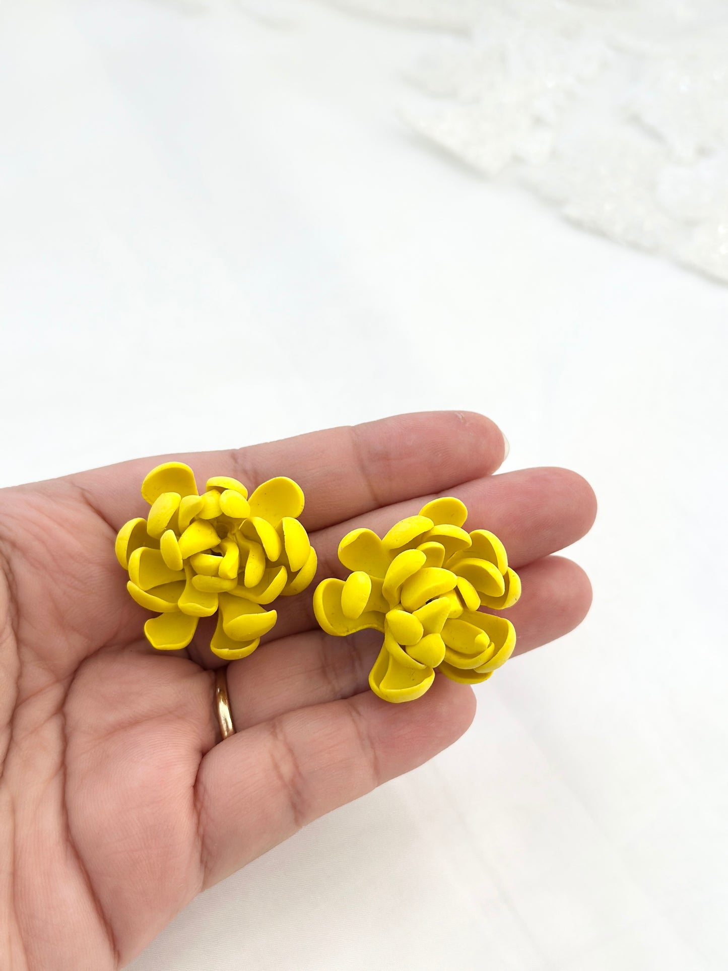 Chrysanthemum Studs