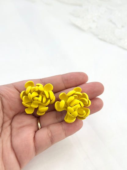 Chrysanthemum Studs